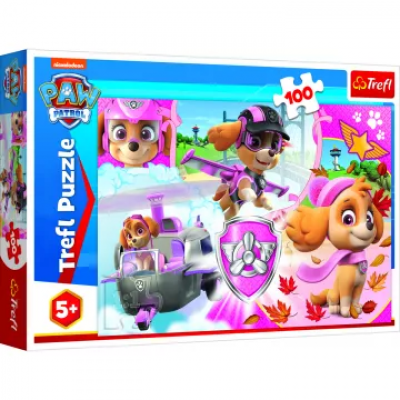 Puzzle Paw Patrol - Skye In Actiune, 100 piese, dimensiune 41 x 27.5 cm