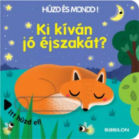 Carte pentru copii in limba maghiara - Cine iti doreste noapte buna?