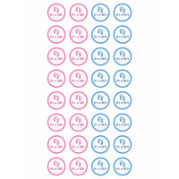 Stickere autoadezive Gender Reveal - It's a boy / It's a girl, pentru petreceri, personalizate în dimensiuni și designuri variate